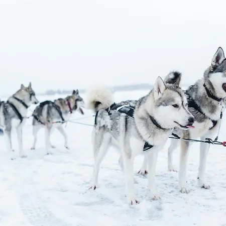 Lomahuvila Pajunkissa C Appartement