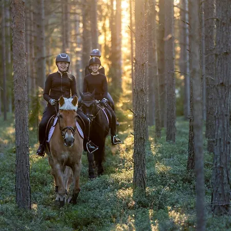 Appartement Lomahuvila Pajunkissa C *