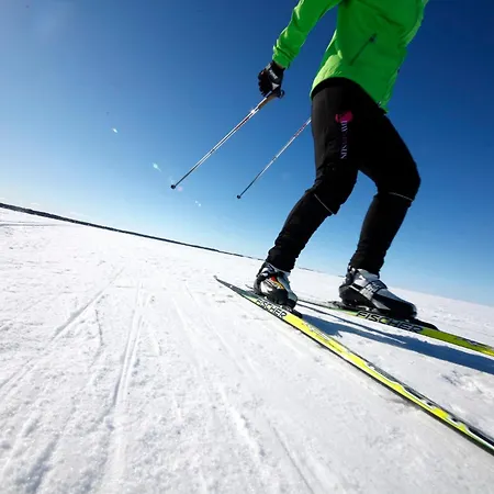 Lomahuvila Pajunkissa C Apartment