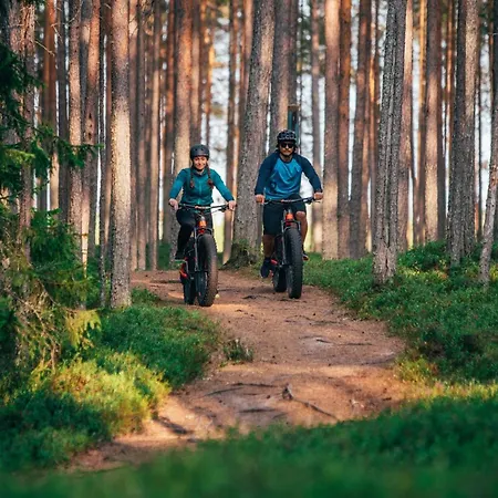 Apartment Lomahuvila Pajunkissa C *